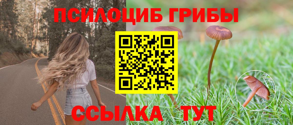 наркота  Вход с VPN  Обнинск  Псилоцибиновые грибы ЛСД 