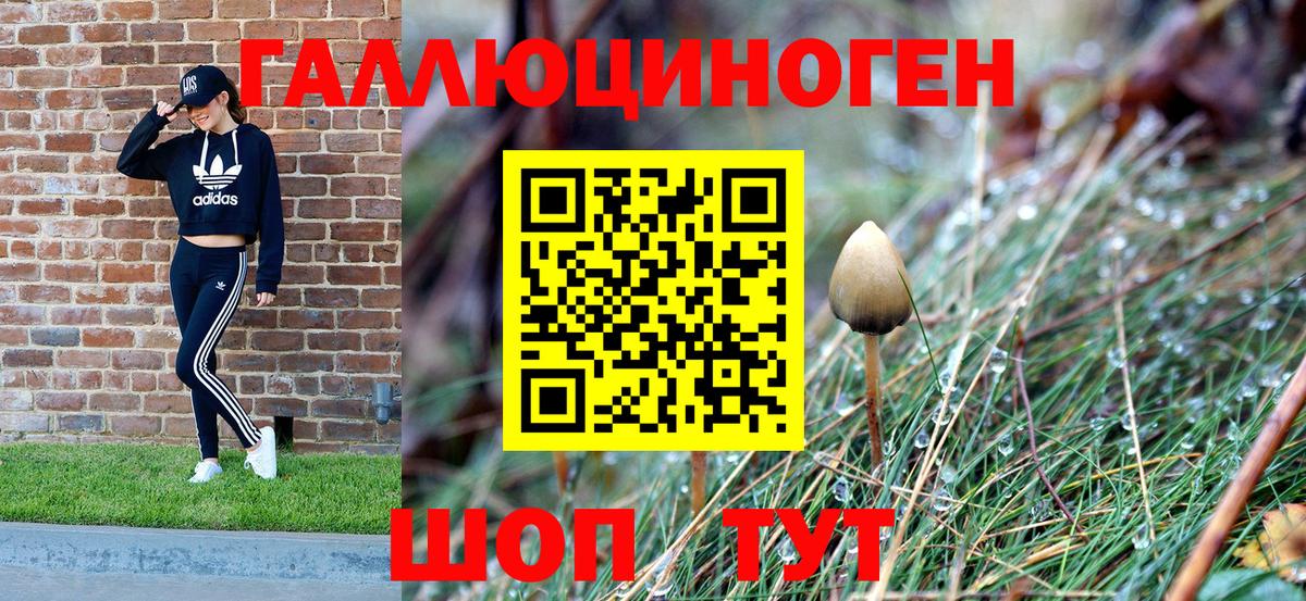 Галлюциногенные грибы GOLDEN TEACHER Обнинск